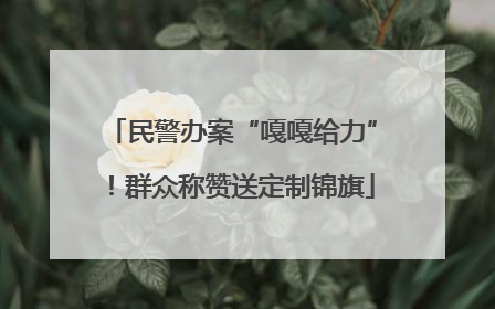 民警办案“嘎嘎给力”！群众称赞送定制锦旗