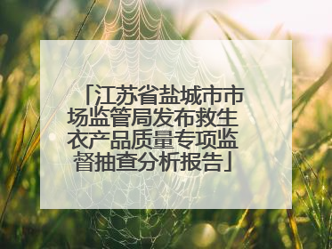 江苏省盐城市市场监管局发布救生衣产品质量专项监督抽查分析报告