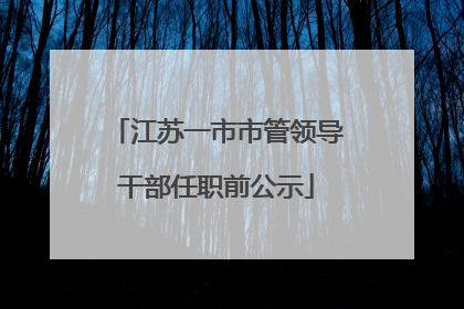 江苏一市市管领导干部任职前公示