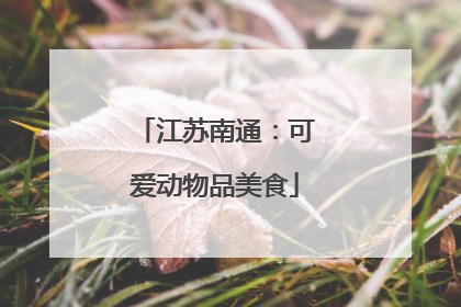 江苏南通：可爱动物品美食
