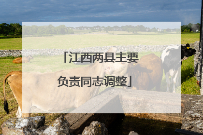 江西两县主要负责同志调整