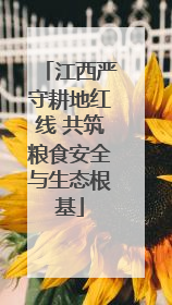 江西严守耕地红线 共筑粮食安全与生态根基