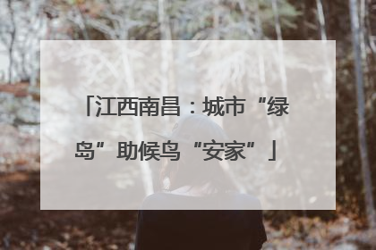 江西南昌：城市“绿岛”助候鸟“安家”