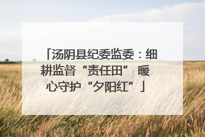汤阴县纪委监委：细耕监督“责任田” 暖心守护“夕阳红”