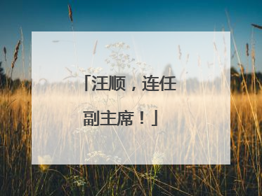 汪顺，连任副主席！