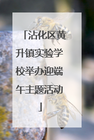 沾化区黄升镇实验学校举办迎端午主题活动