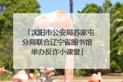 沈阳市公安局苏家屯分局联合辽宁省图书馆举办反诈小课堂