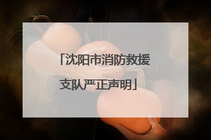 沈阳市消防救援支队严正声明