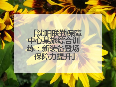 沈阳联勤保障中心某旅综合训练：新装备登场 保障力提升
