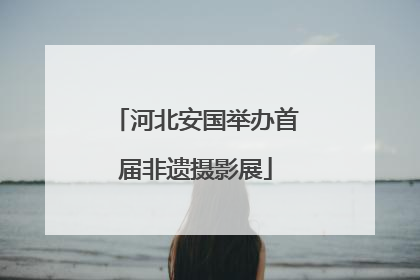 河北安国举办首届非遗摄影展