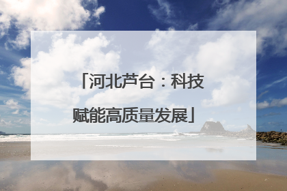 河北芦台：科技赋能高质量发展