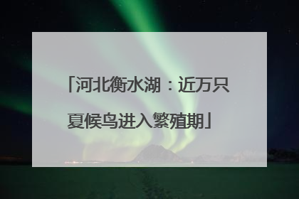 河北衡水湖：近万只夏候鸟进入繁殖期
