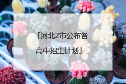 河北2市公布各高中招生计划