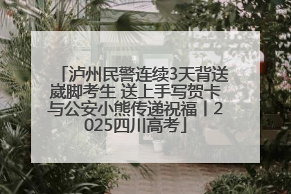 泸州民警连续3天背送崴脚考生 送上手写贺卡与公安小熊传递祝福丨2025四川高考