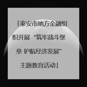 泰安市地方金融组织开展“筑牢战斗堡垒 护航经济发展”主题教育活动