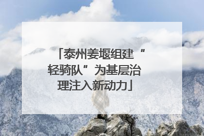 泰州姜堰组建“轻骑队”为基层治理注入新动力