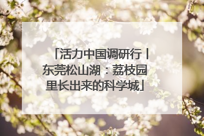活力中国调研行丨东莞松山湖：荔枝园里长出来的科学城