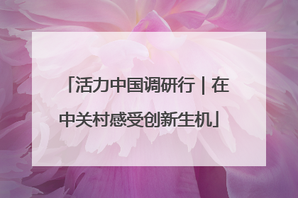 活力中国调研行｜在中关村感受创新生机