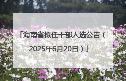 海南省拟任干部人选公告（2025年6月20日）