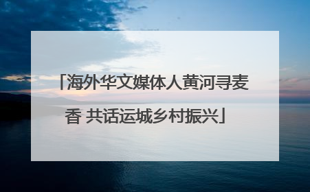 海外华文媒体人黄河寻麦香 共话运城乡村振兴