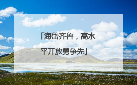 海岱齐鲁，高水平开放勇争先