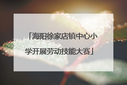 海阳徐家店镇中心小学开展劳动技能大赛