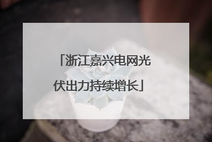 浙江嘉兴电网光伏出力持续增长