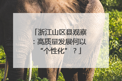浙江山区县观察：高质量发展何以“个性化”？