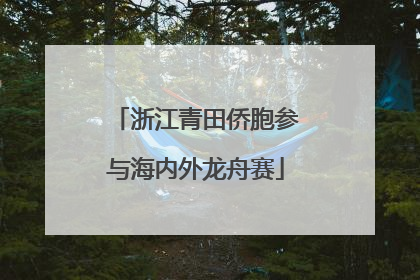 浙江青田侨胞参与海内外龙舟赛