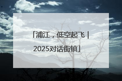 浦江，低空起飞｜2025对话街镇