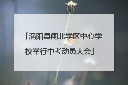 涡阳县闸北学区中心学校举行中考动员大会