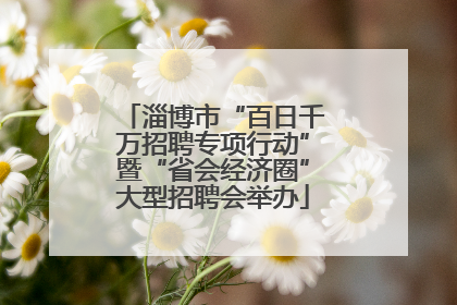 淄博市“百日千万招聘专项行动”暨“省会经济圈”大型招聘会举办