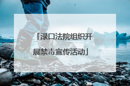 渌口法院组织开展禁毒宣传活动