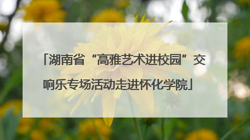 湖南省“高雅艺术进校园”交响乐专场活动走进怀化学院