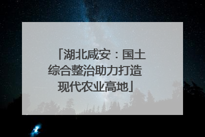 湖北咸安：国土综合整治助力打造现代农业高地
