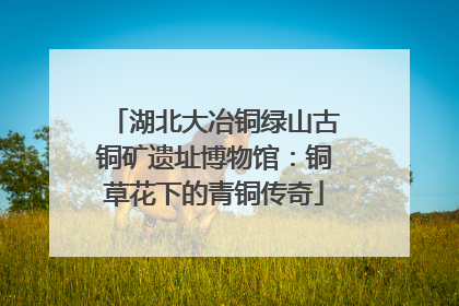 湖北大冶铜绿山古铜矿遗址博物馆：铜草花下的青铜传奇