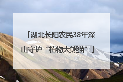湖北长阳农民38年深山守护“植物大熊猫”