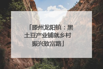 滕州龙阳镇：黑土豆产业铺就乡村振兴致富路