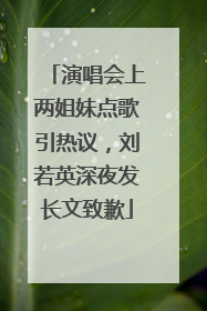 演唱会上两姐妹点歌引热议，刘若英深夜发长文致歉