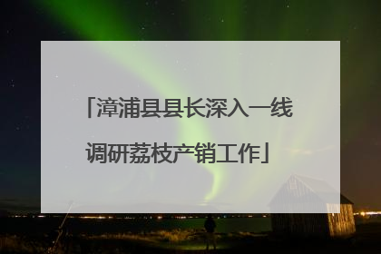 漳浦县县长深入一线调研荔枝产销工作