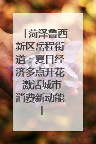 菏泽鲁西新区岳程街道：夏日经济多点开花 激活城市消费新动能
