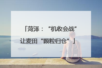 菏泽：“机收会战”让麦田“颗粒归仓”