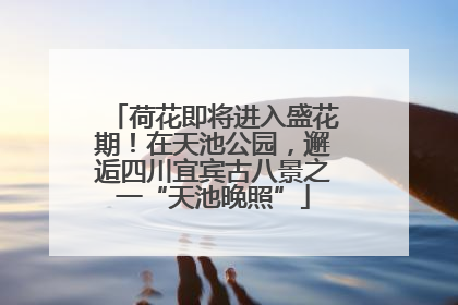 荷花即将进入盛花期！在天池公园，邂逅四川宜宾古八景之一“天池晚照”