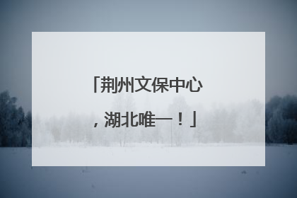 荆州文保中心，湖北唯一！