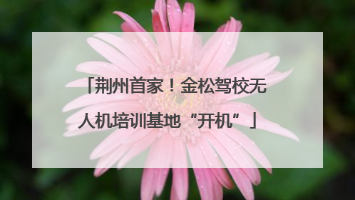 荆州首家！金松驾校无人机培训基地“开机”