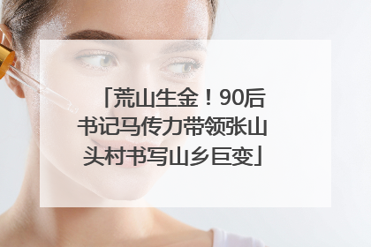荒山生金！90后书记马传力带领张山头村书写山乡巨变