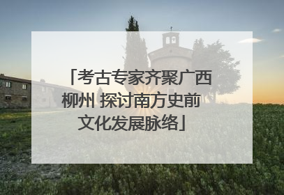 考古专家齐聚广西柳州 探讨南方史前文化发展脉络