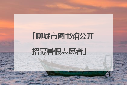 聊城市图书馆公开招募暑假志愿者