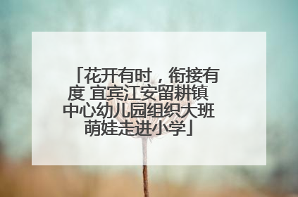 花开有时，衔接有度 宜宾江安留耕镇中心幼儿园组织大班萌娃走进小学