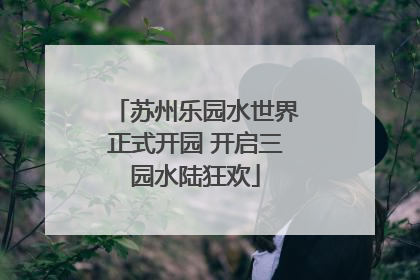 苏州乐园水世界正式开园 开启三园水陆狂欢
